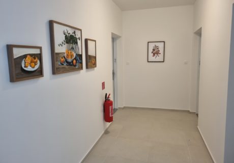 Fotka galérie BYTOVÝ DOM C1 - SKOLAUDOVANÝ - 10
